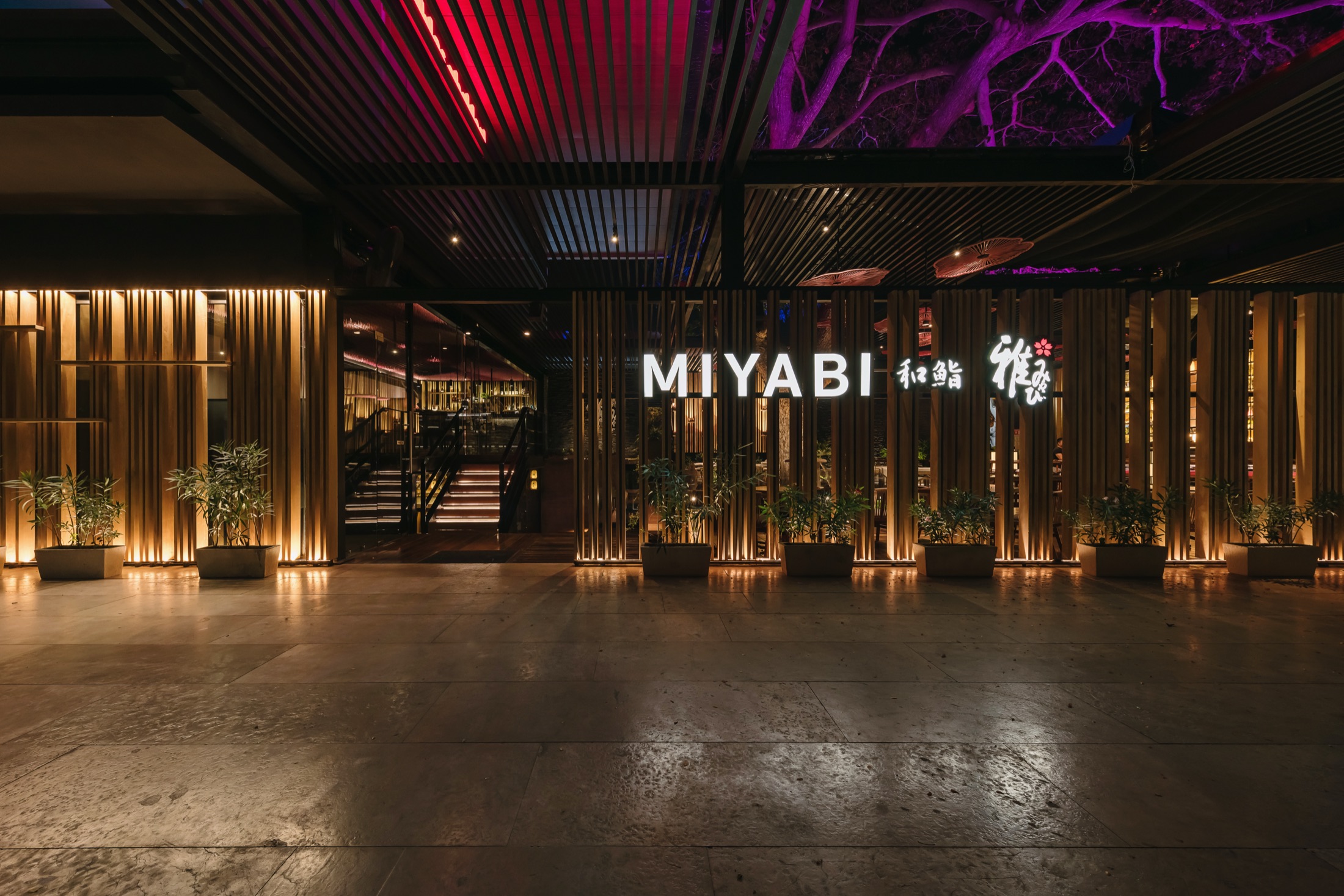 Miyabi Árbol